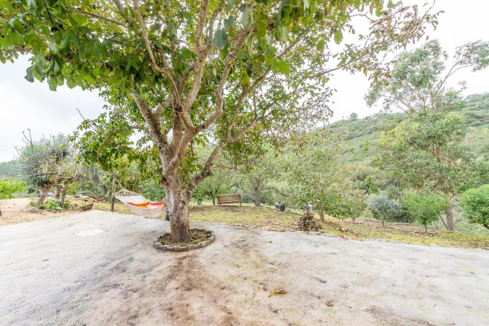 Countryside Paradise In Bucelas Exterior foto